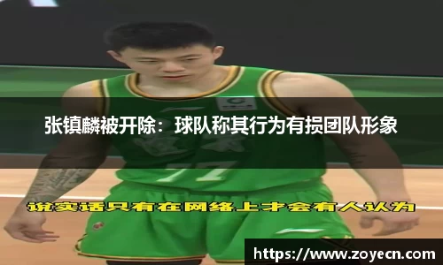 bv伟德国际官网
