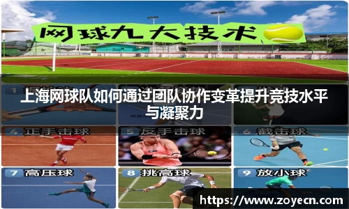 bv伟德国际官网
