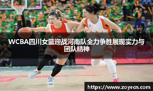 bv伟德国际官网
