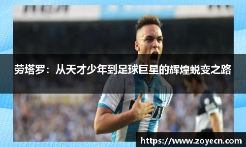 bv伟德国际官网