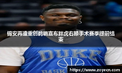 锡安再遭重创鹈鹕宣布胖虎右膝手术赛季提前结束